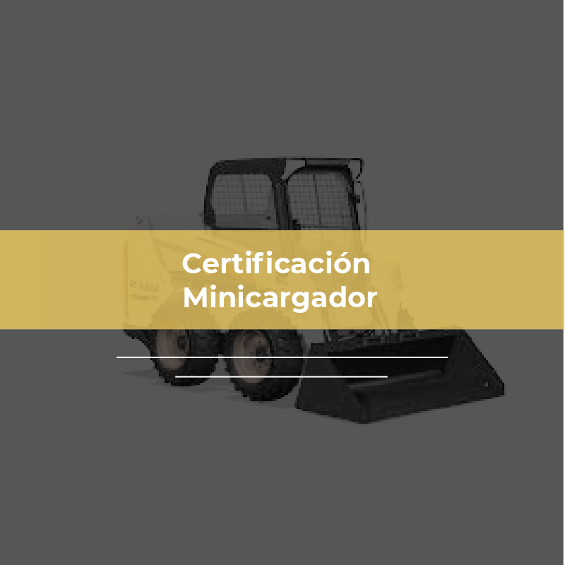 Operador Montacargas Minicargador