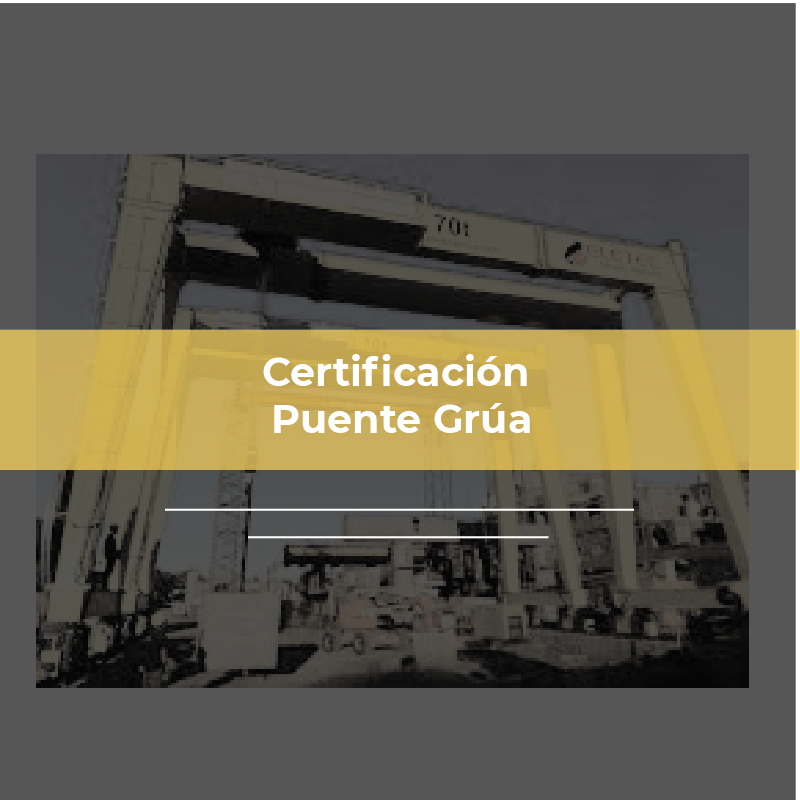 Operador Puente Grúa